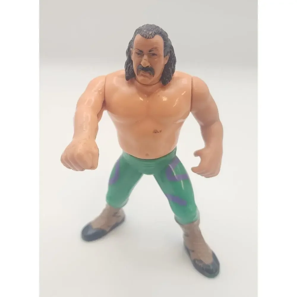 WWF Hasbro Action Figures Jake the Snake Roberts Series 1 1990 WWE Vintage